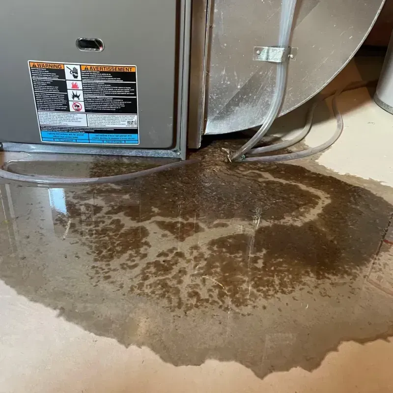 Appliance Leak Cleanup in Ogle County, IL